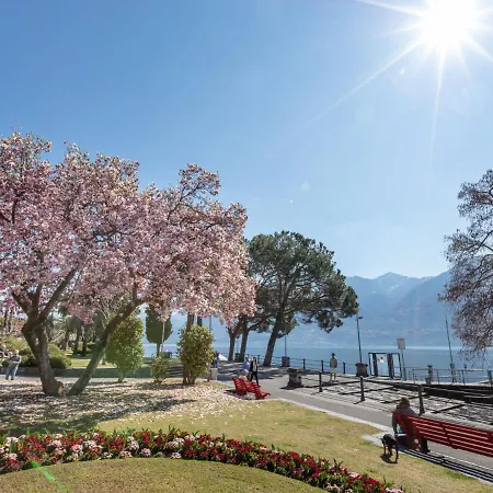 Double Classic-5 By Interhome Apartment Ascona
